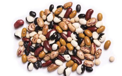 Större noggrannhet i optisk sortering krävdes för att möta gröna trenden