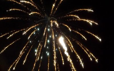 Ett Gott Nytt År med rätta svar!