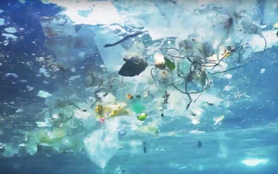 Vårt plastavfall – ett globalt miljöproblem