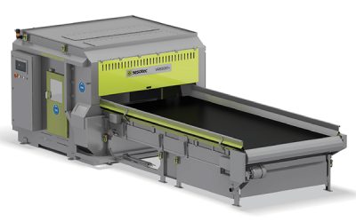 Optimera sorteringssystemet för bättre lönsamhet på alla plan