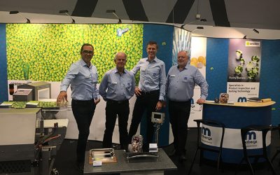 De rätta svaren i vårt Mäzz-Quizz