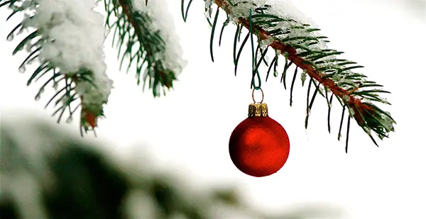 God Jul och Gott Nytt År!