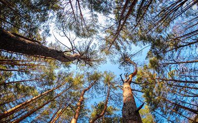 Öka användningen av återvunnet material i produktion