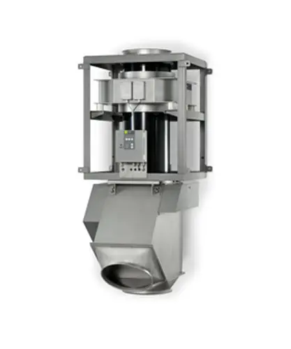 Rapid Dual 1 Rapid Dual