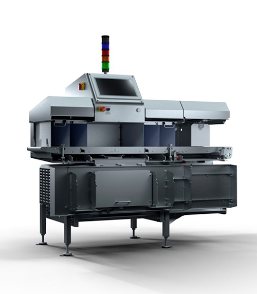 Mobergsdagarna 2026 9 Röntgeninspektion Raycon D